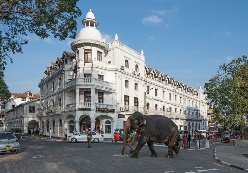 Kandy City Tour